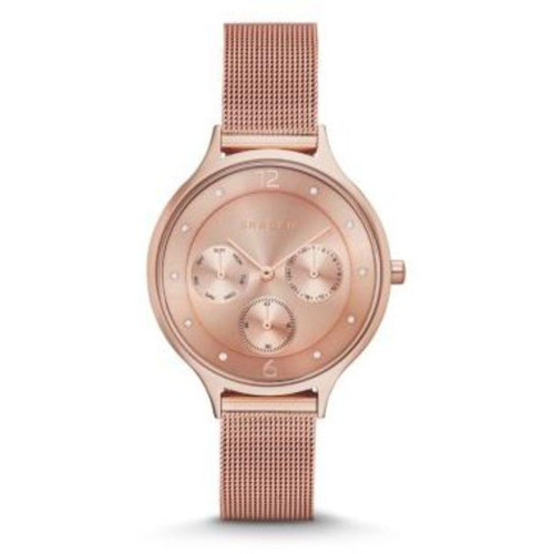 Часы Skagen SKW2314 Часы Skagen SKW2314