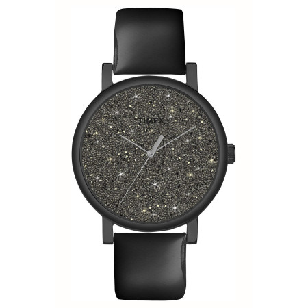 Часы Timex Tx2p280