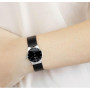 Часы Skagen SKW2048 Часы Skagen SKW2048