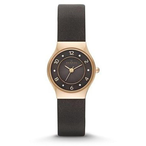 Часы Skagen SKW2208 Часы Skagen SKW2208