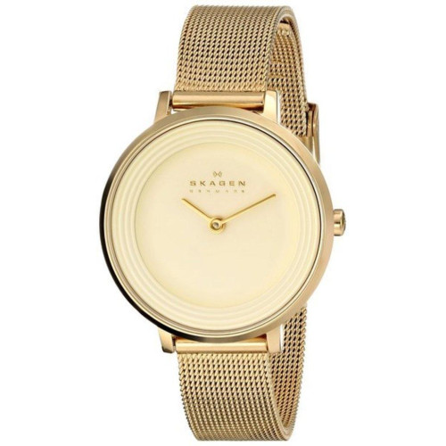 Часы Skagen SKW2212 Часы Skagen SKW2212