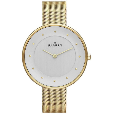 Часы Skagen SKW2141
