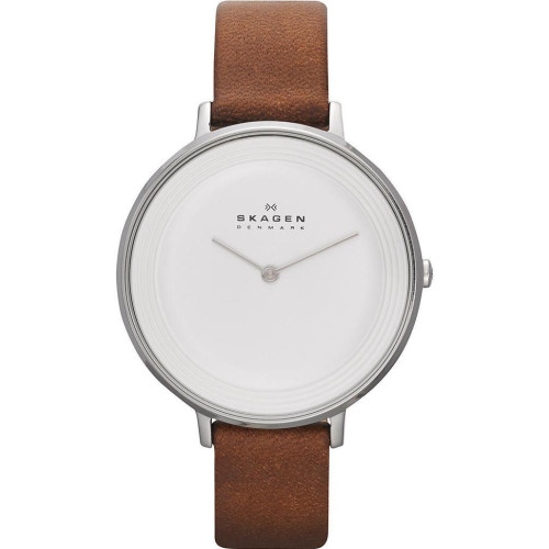Часы Skagen SKW2214 Часы Skagen SKW2214