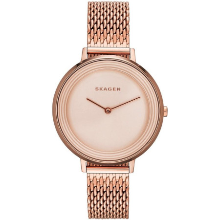Часы Skagen SKW2334
