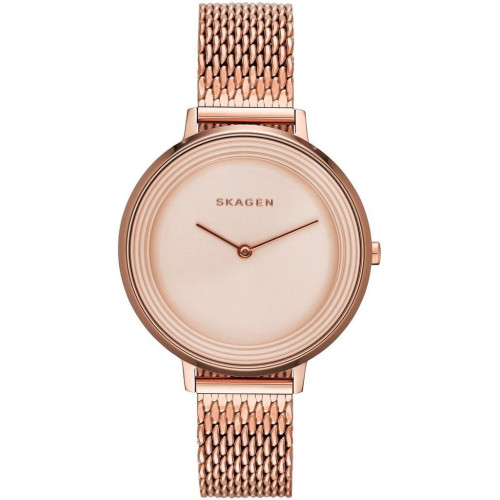 Часы Skagen SKW2334 Часы Skagen SKW2334