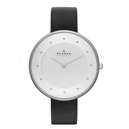 Часы Skagen SKW2232