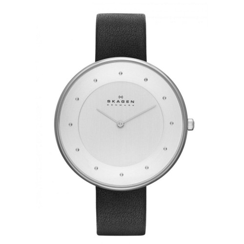 Часы Skagen SKW2232 Часы Skagen SKW2232