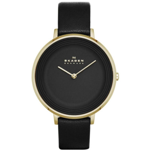 Часы Skagen SKW2286 Часы Skagen SKW2286