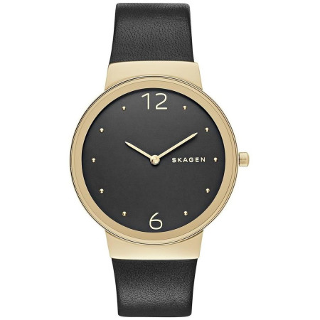 Часы Skagen SKW2370