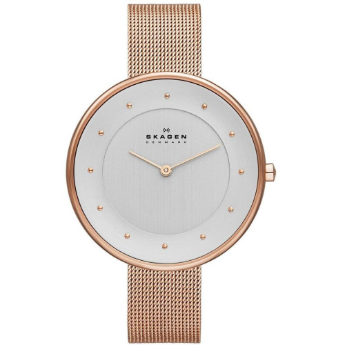 Часы Skagen SKW2142 Часы Skagen SKW2142