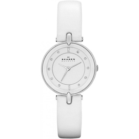 Часы Skagen SKW2012
