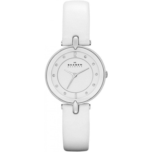 Часы Skagen SKW2012 Часы Skagen SKW2012